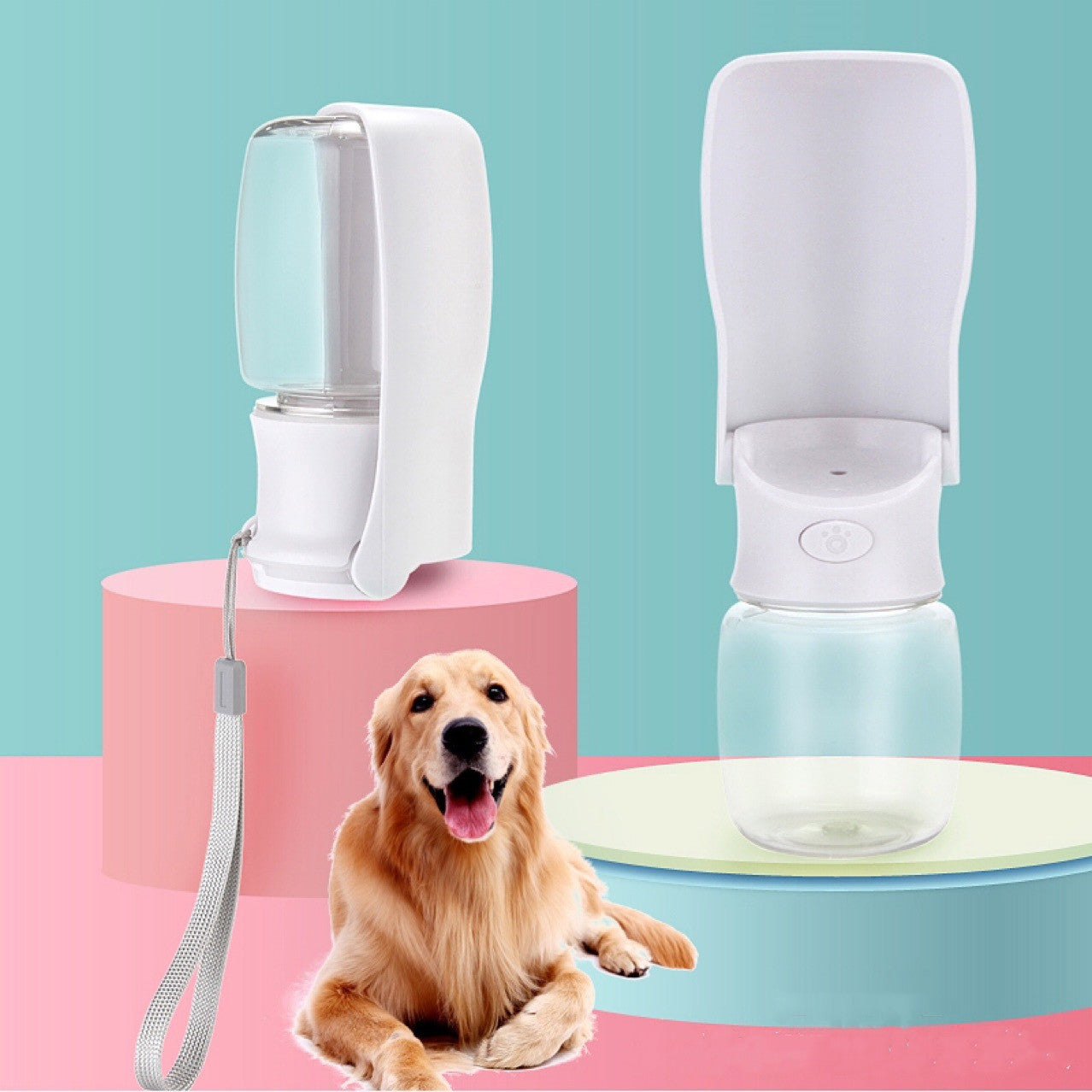Best Portable Dog Water Bottle for Hiking and Travel in 2026